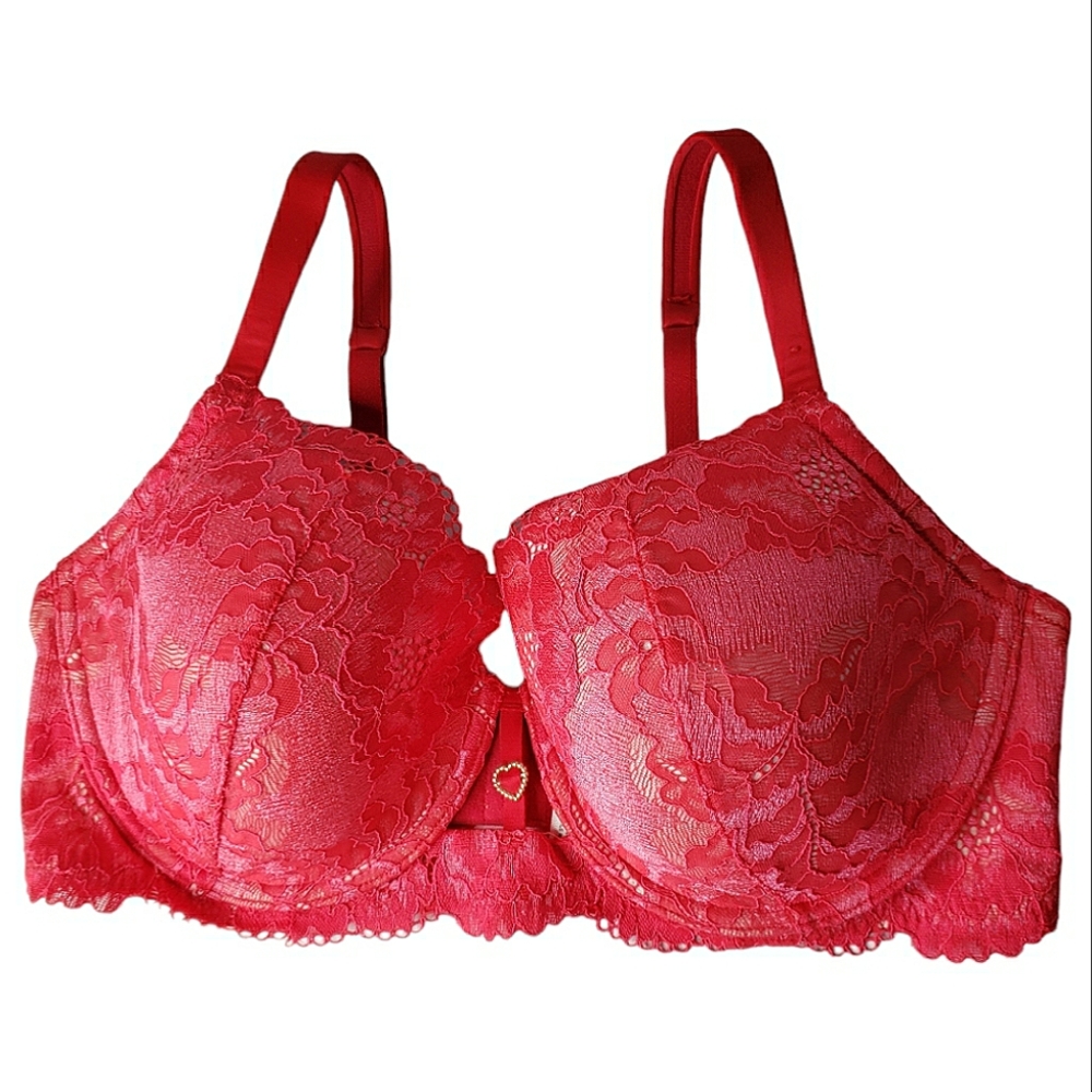 Parisian Intimates Bra 36DD Underwire Padded Lace Romantic Date Feminine Heart